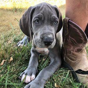 Meet your Posher, Tonya